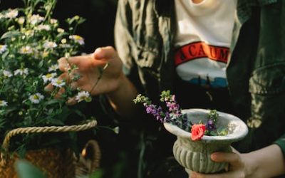 ¿Qué maceta elegir para el cultivo de marihuana?