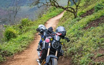 El té de compost: una forma natural de alimentar y proteger las plantas de marihuana