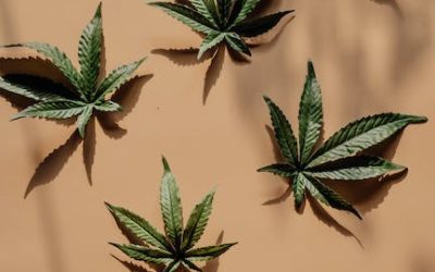 Fotones, superficies y materiales: cómo usar bien los reflectores en el cultivo de marihuana